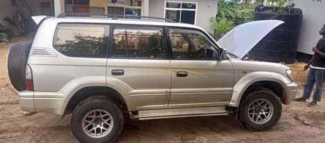 A picture of 17 5m 0653323677