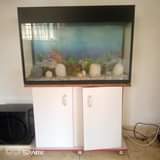 A picture of AQUARIUM ON SALE