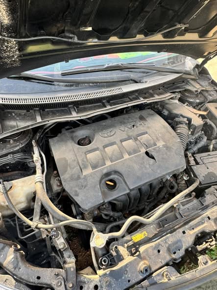 A picture of Toyota Corolla 2009