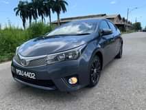 Selena L.