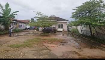 A picture of NYUMBA