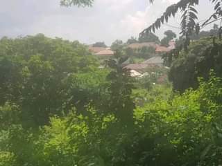 A picture of House for sale 1arcre titter 3km from masaka kasanje price