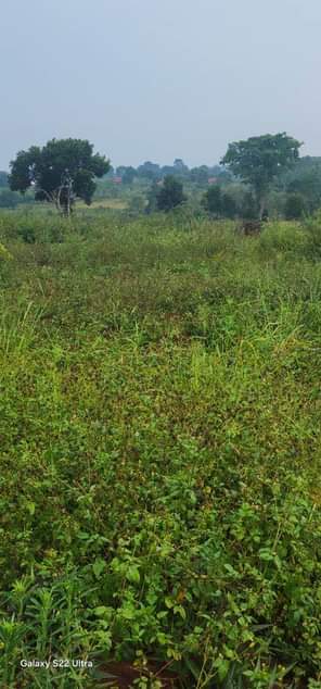 A picture of Plot 50 100 100 100