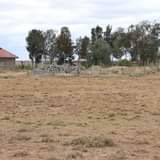 Katheke M.