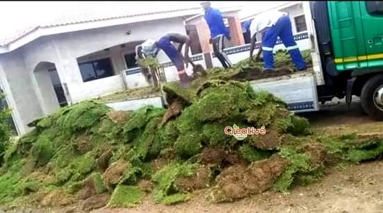 landscaping ssrvices