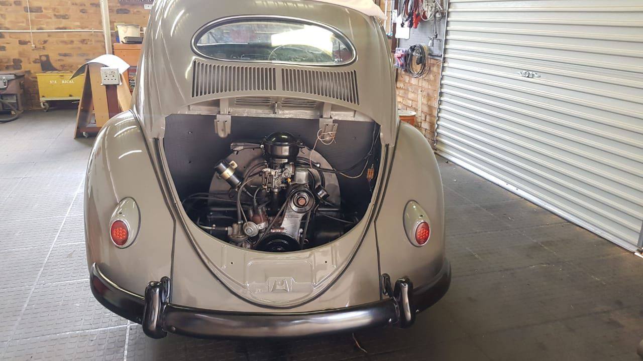 vw beetle