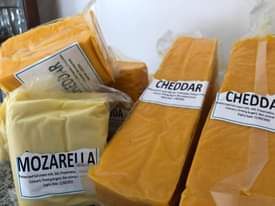 cheese