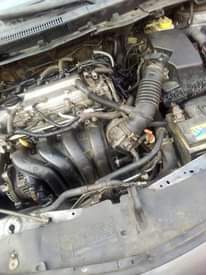 A picture of Toyota Corolla 08