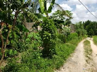 A picture of House for Sale