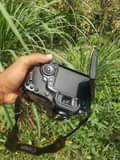 A picture of Canon D 60