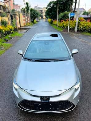 cars