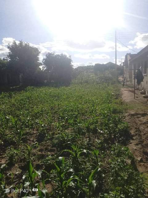 property budiriro