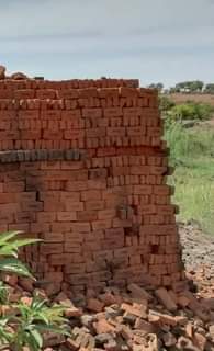 bricks