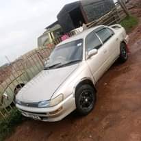 A picture of Kikumi