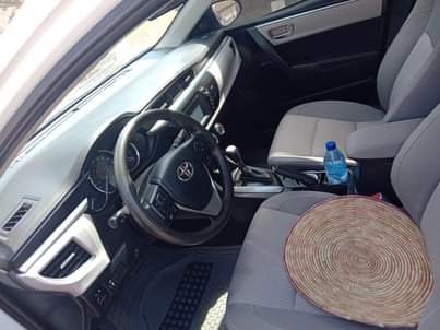 A picture of Belgium trade first body 2014 15 Corolla