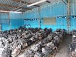 A picture of Engines Available For Sale