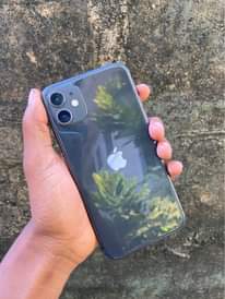 A picture of iphone 11 Plain