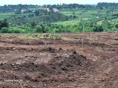 houses hoima