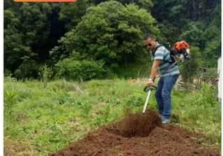 A picture of Seedplanters