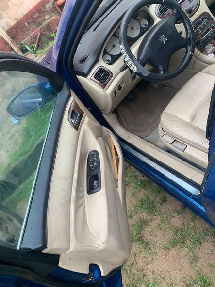 A picture of Peugeot 607