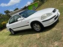 White F.