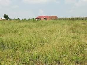 A picture of MATUGGA KILYAGONJA WAKISO ROAD PLOTS FOR SALE AT GIVE AWAY