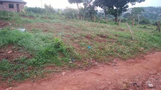 A picture of LAND