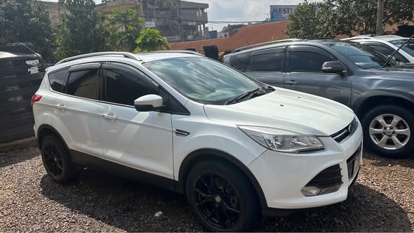 A picture of Ford kuga