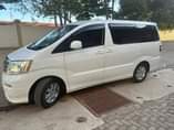 A picture of Alphard