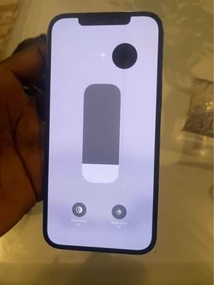 A picture of iPhone 12 promax