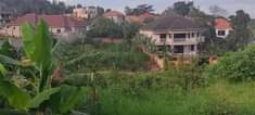A picture of Money needed urgently plot on sale located wakiso kavumba price