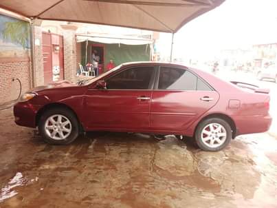 A picture of 04 big daddy