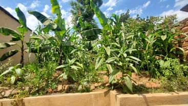 A picture of 3 BEDROOM HOUSE ON SALE IN MATUGGA AT 90MILLION TITLED.