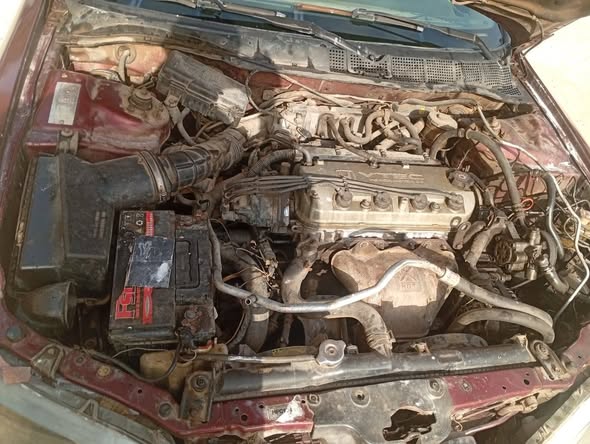 A picture of Honda accord UK