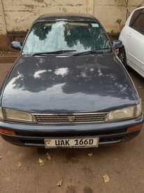 A picture of Toyota Corolla kikumi