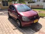 A picture of Vitz