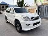 A picture of Prado 120