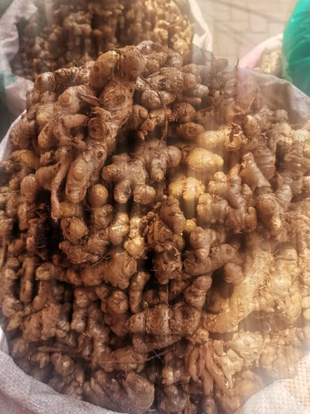 A picture of Passon fruits Garlic snow white Garlic Ginger for sale at