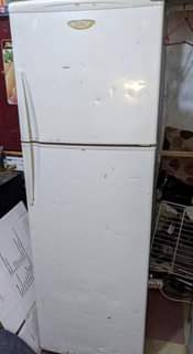 A picture of Friji