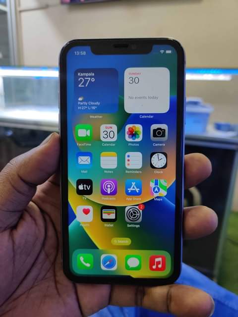 Ivo D.