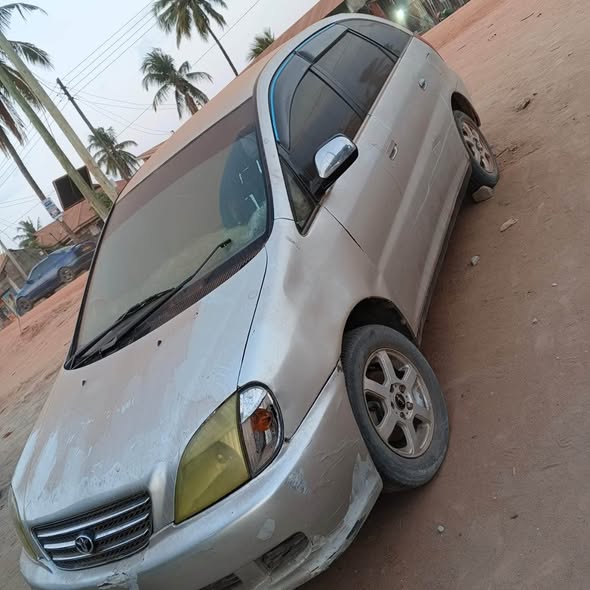 A picture of Toyota Nadia