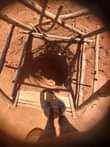 A picture of Fresh drilled water