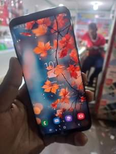 A picture of SAMSUNG s8