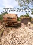 A picture of Bulooka ze bbumba Accommodation to Rent