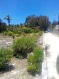 A picture of Potential Plot Bwejuu 14000Sqm