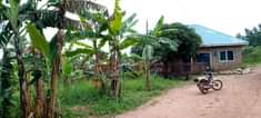 A picture of Quick sale 4 plots on quick sale located in matugga