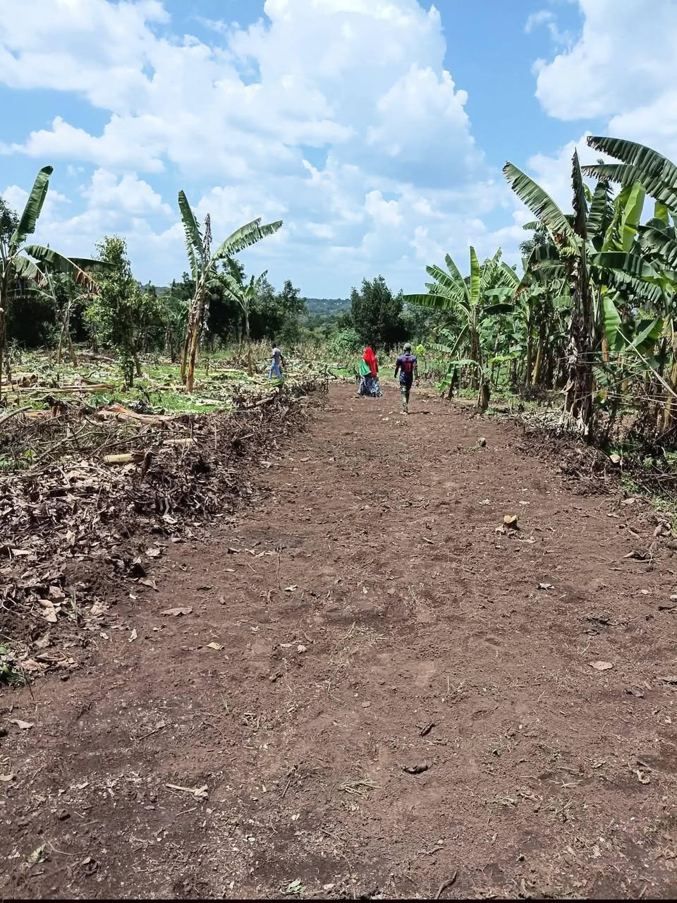A picture of NEW SITE OPENED 50100fts 8M NDEJJE KIYANA AND KAKUTE ZONE