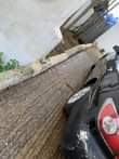 A picture of Lexus