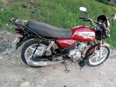 A picture of Boxer cc 150