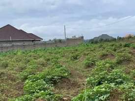 A picture of PLOTS